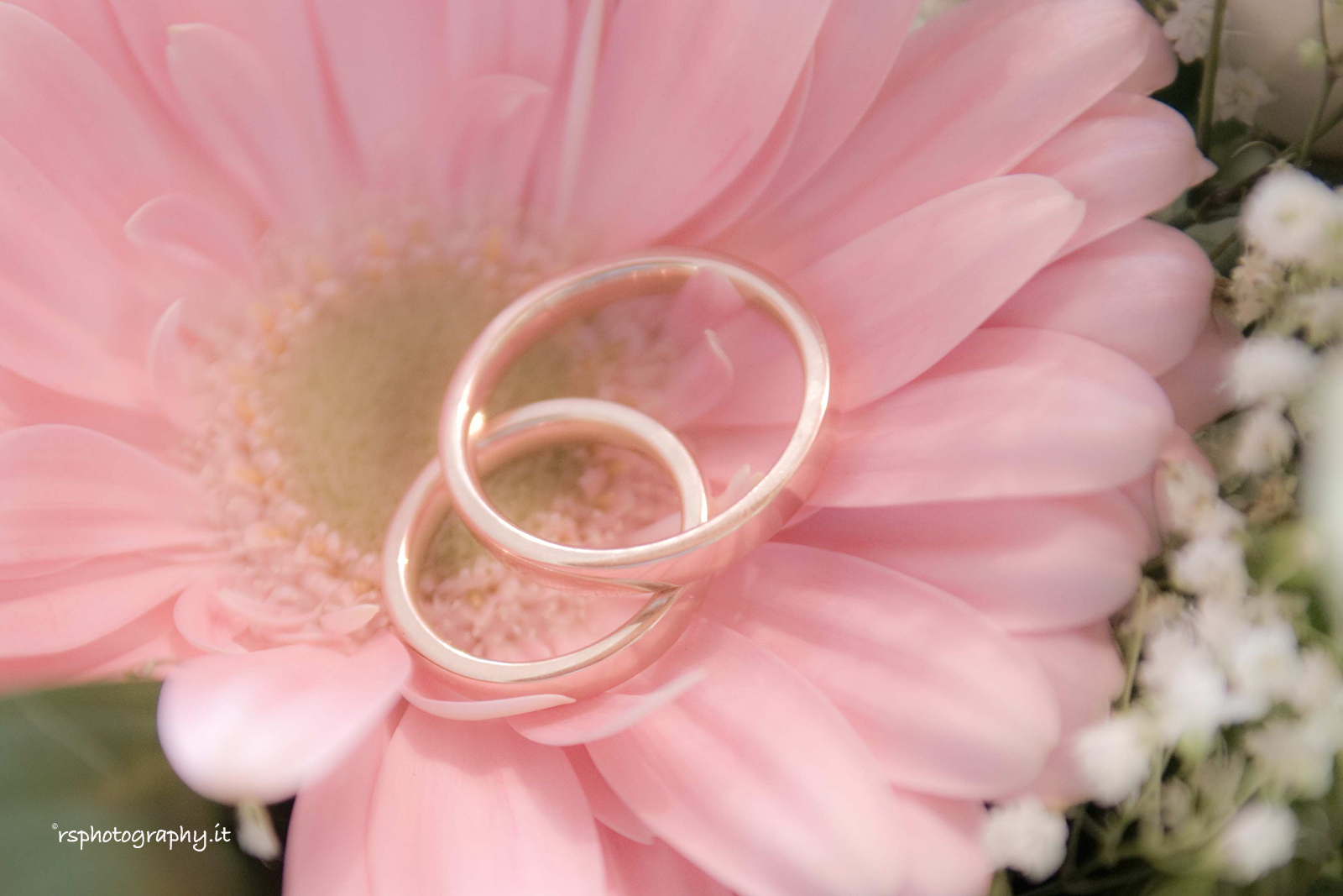 Fotografia di Matrimonio