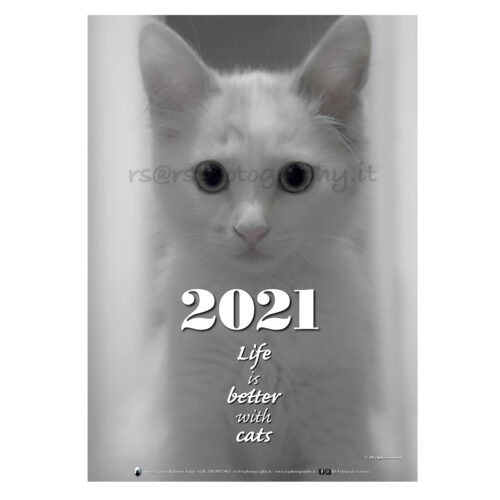 CATS_2021_BIANCO